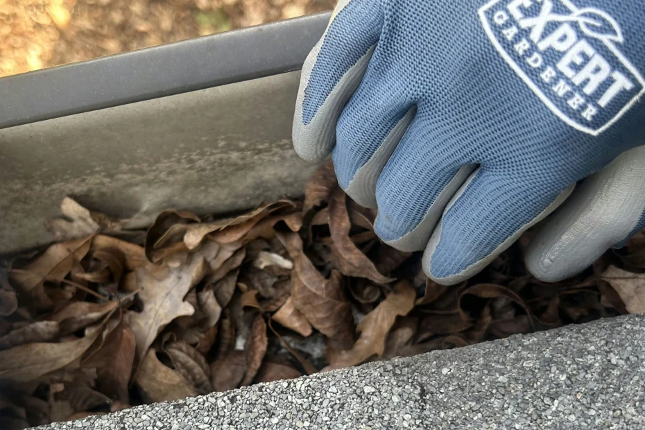 Gutter Cleaning Bellaire, TX